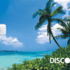 Discover® it Miles Credit Card